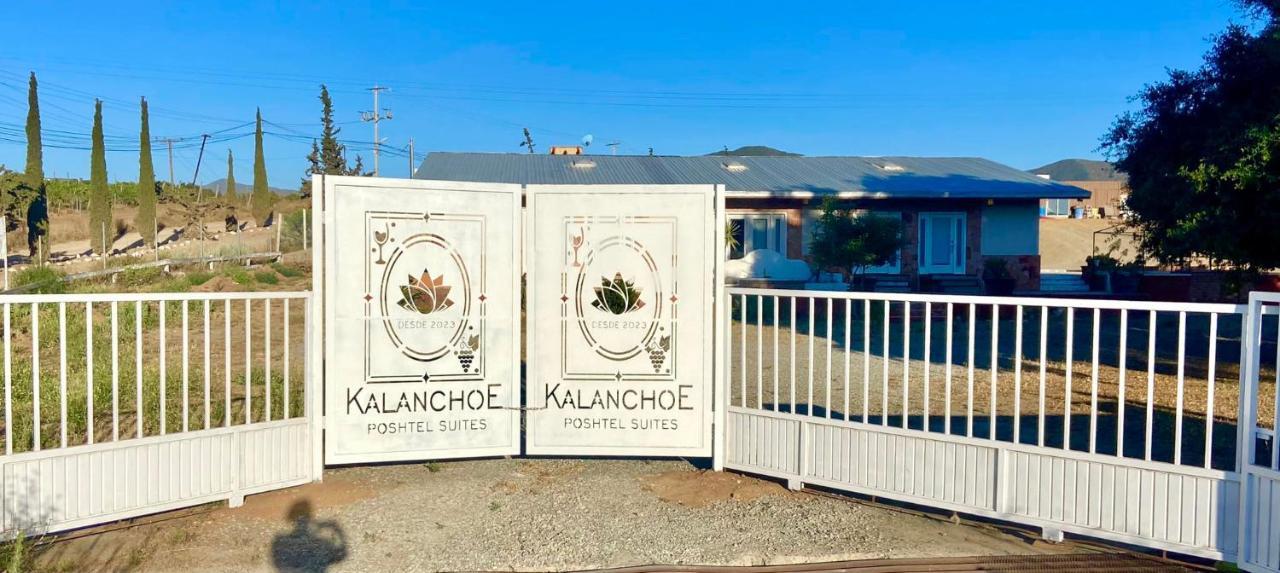 Kalanchoe Poshtel Suites Las Palmas  Εξωτερικό φωτογραφία