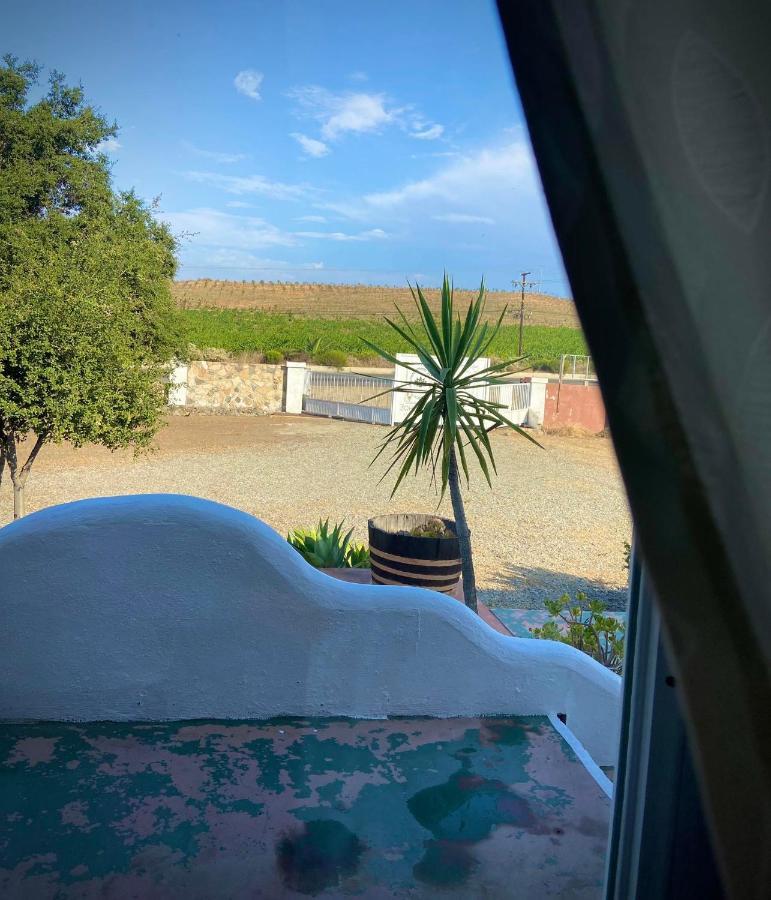 Kalanchoe Poshtel Suites Las Palmas  Εξωτερικό φωτογραφία